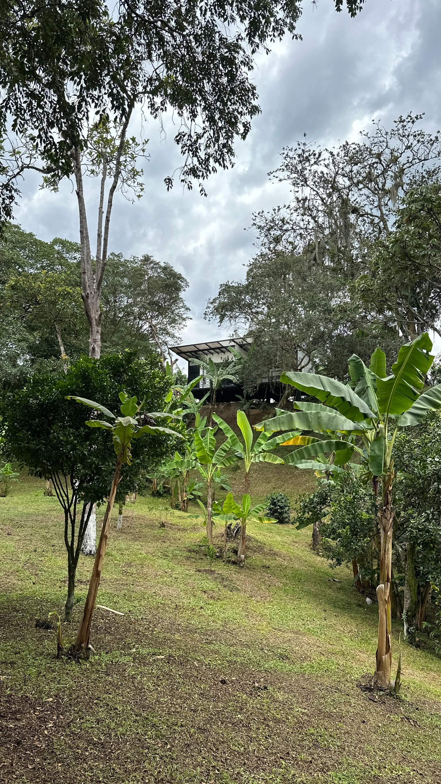 GUADALAJARA GLAMPING - GLAMPING HORIZONTE - 0
