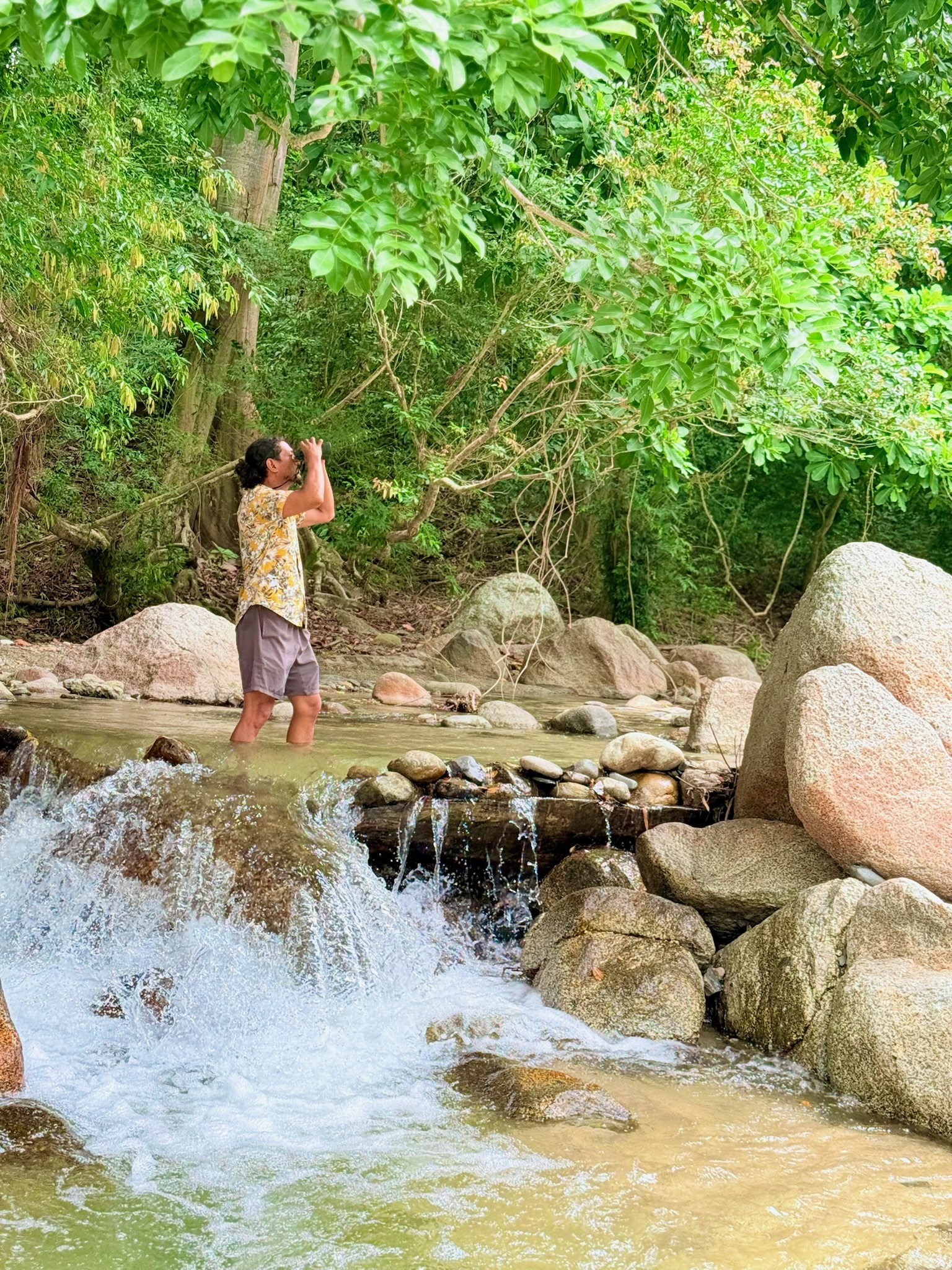 Rio Tayrona - Zonas comunes - 0