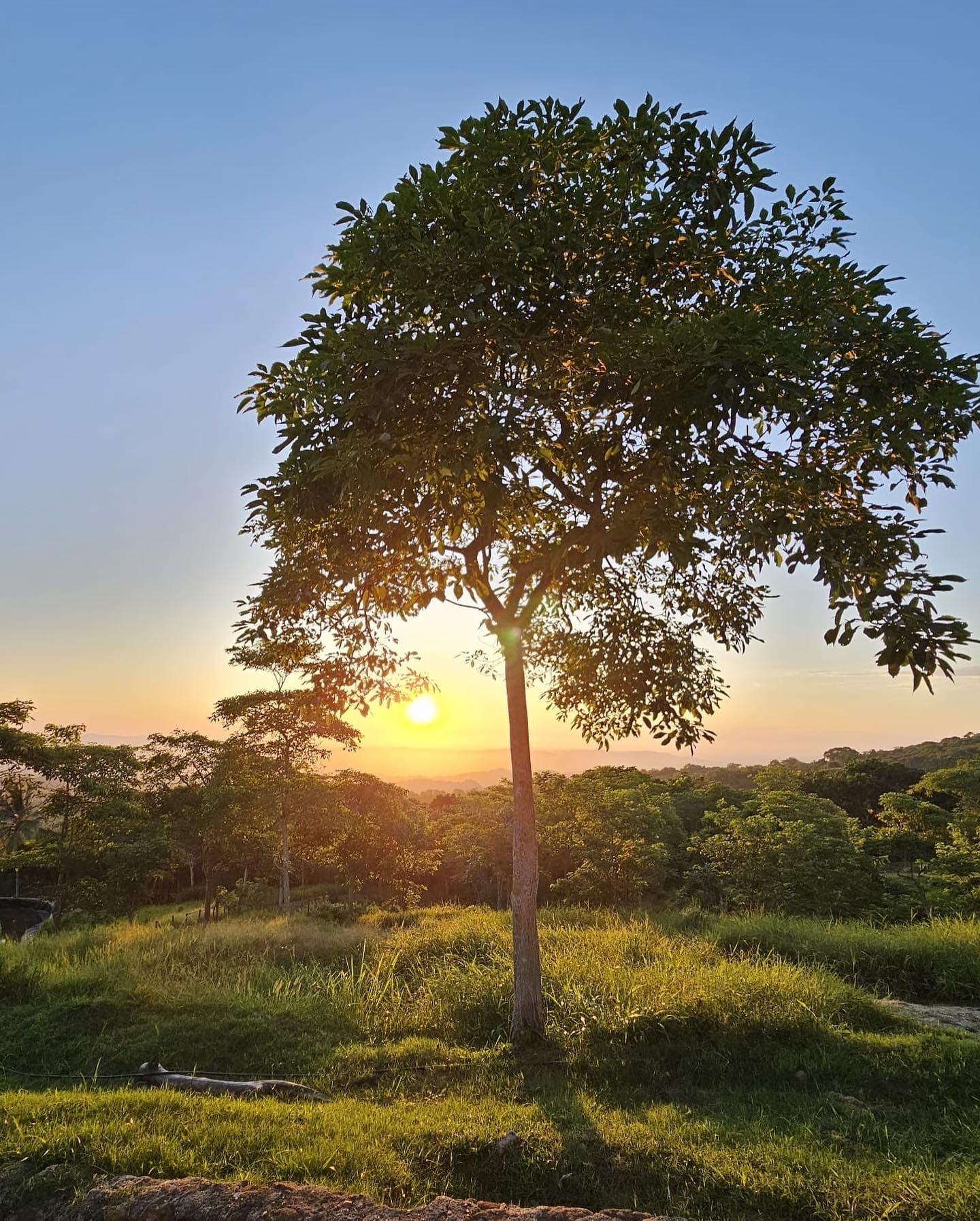 Ecohotel La Reserva 7