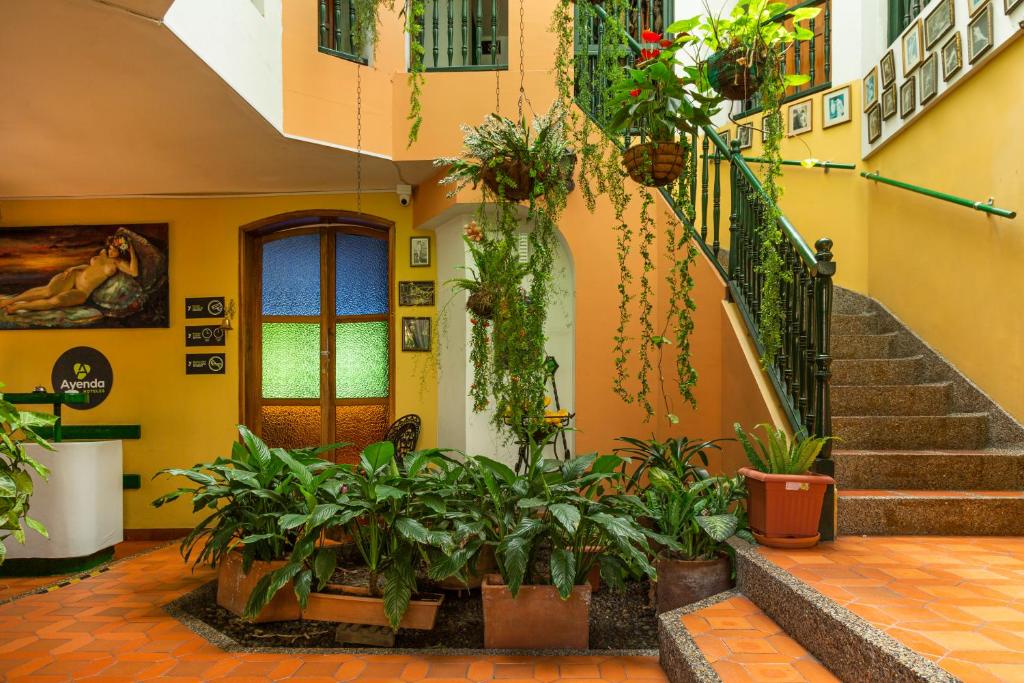 Ayenda Habana Vieja 1221 22