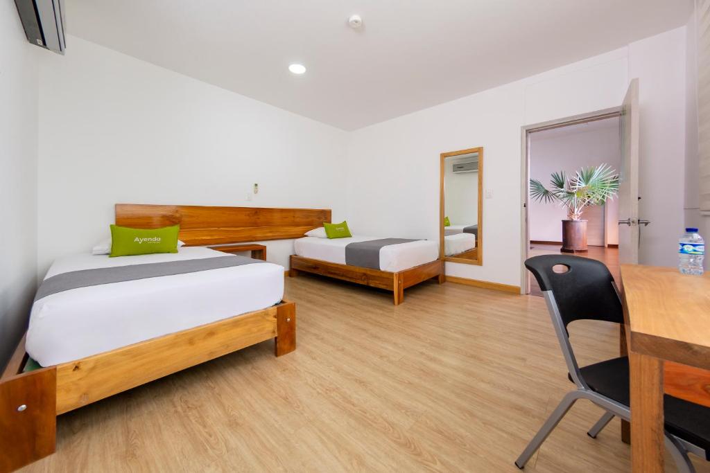 Ayenda 1901 Marckia - Doble - 12