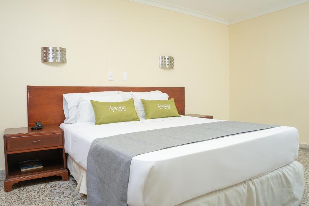 Ayenda 1313 Barahona 72 16