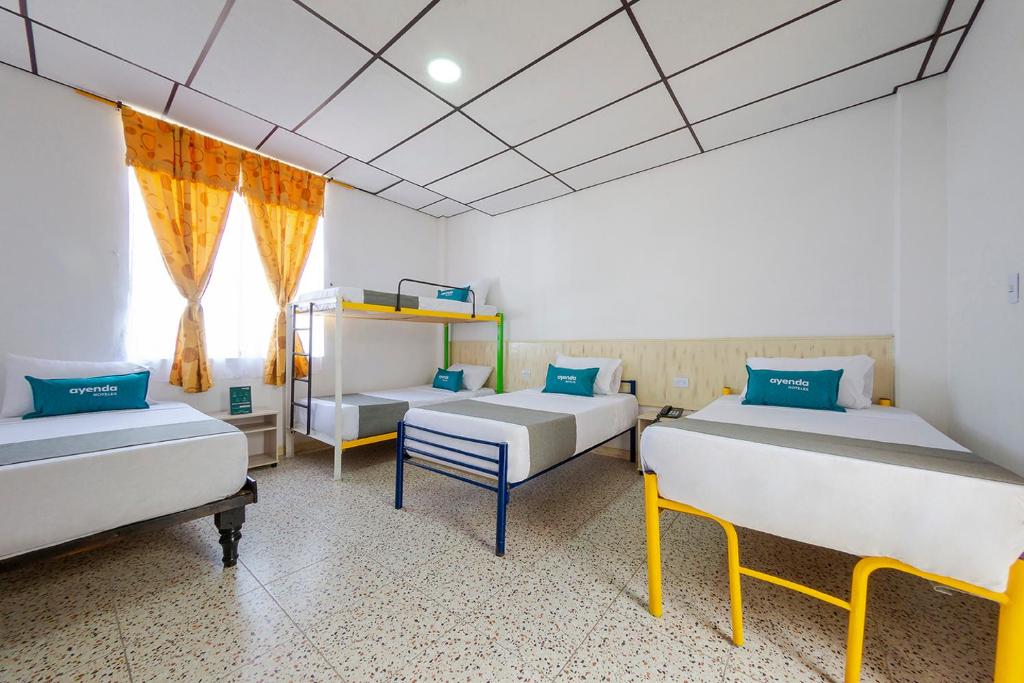 Ayenda Macondo - Quintuple Superior - 10