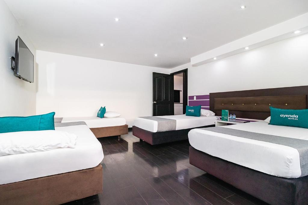 Ayenda Puerto Madero Boutique 28