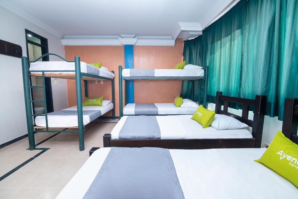 Ayenda Calypso 1142 2