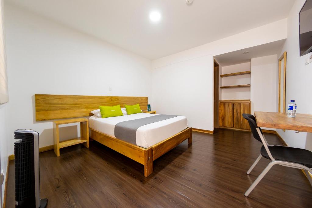 Ayenda 1901 Marckia - Doble - 11