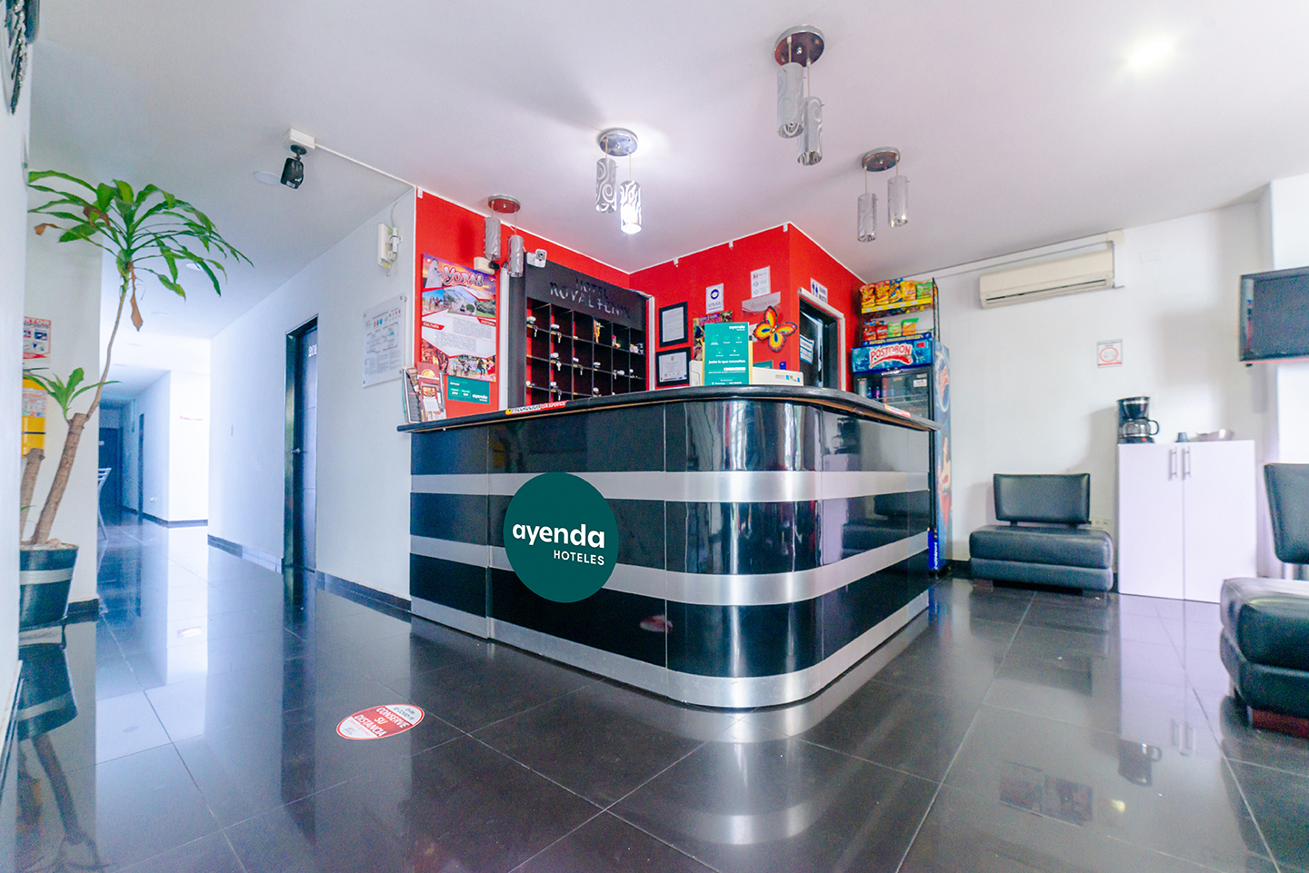 Ayenda Royal Fenix 11