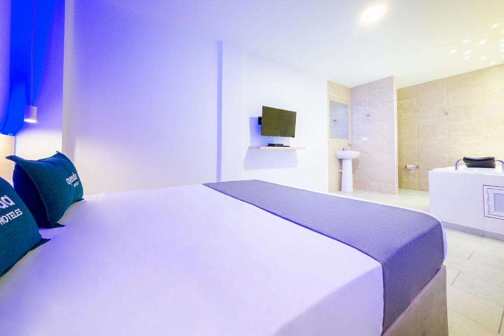 Ayenda Panamericana - Doble Superior - 17