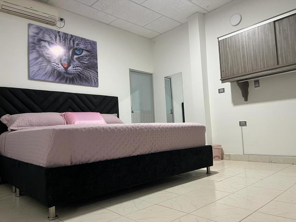 Cool House 24Horas 5