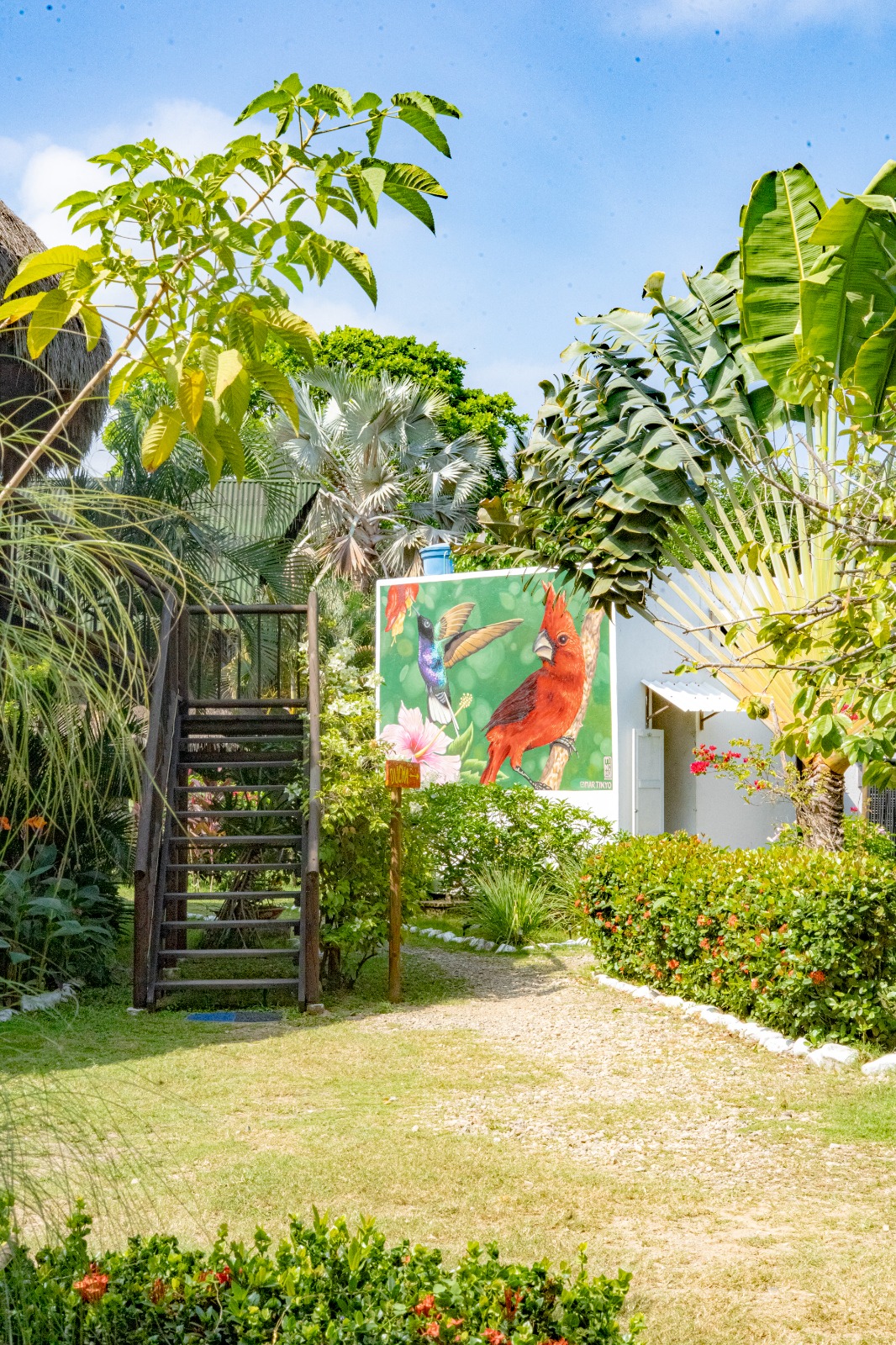 Hostal El Bohio - Zonas comunes - 45