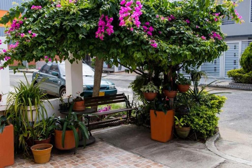 Ayenda 1422 Caney 23