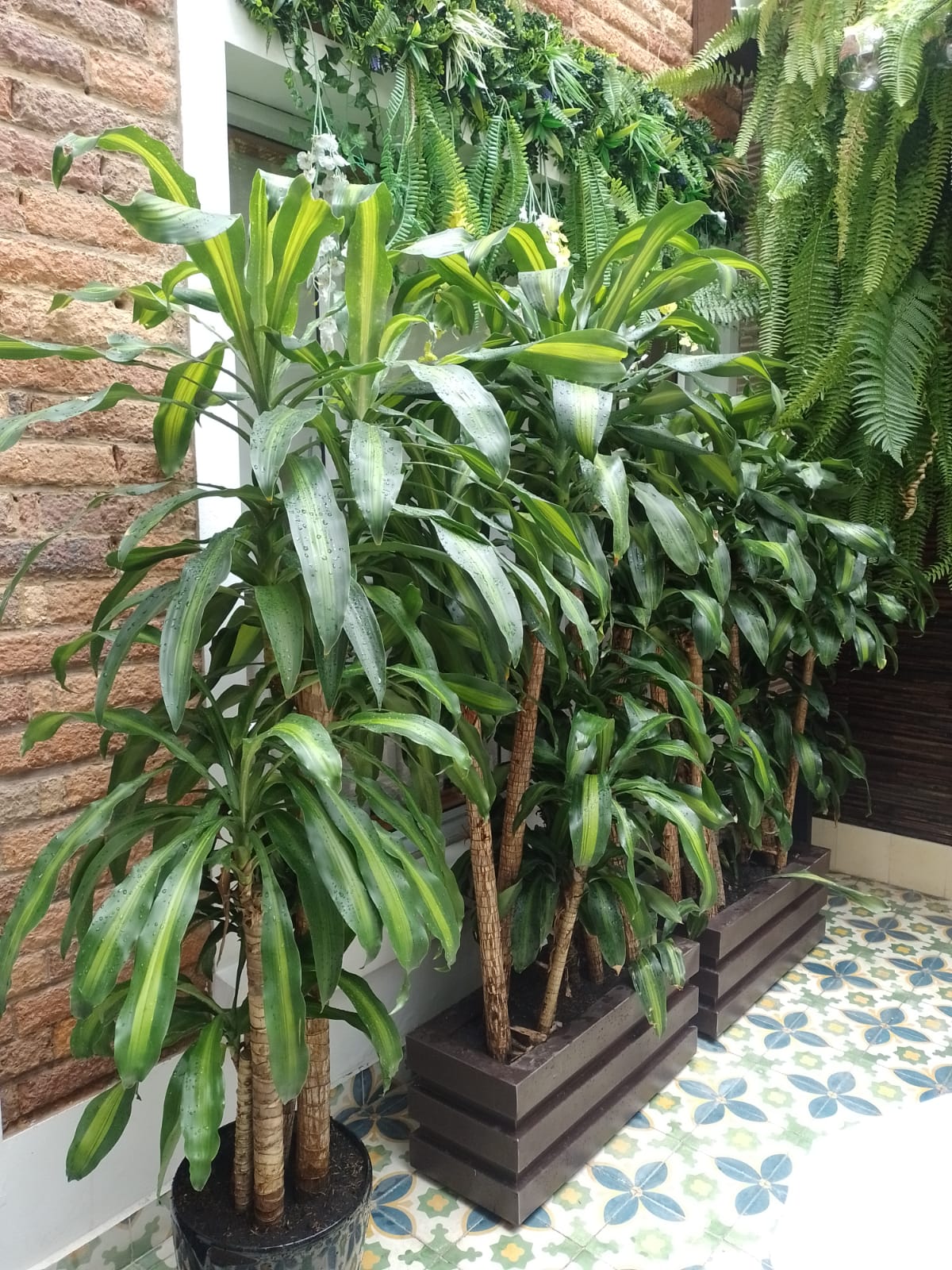 HOTEL BOUTIQUE QUINTA CAMACHO - Zonas comunes - 22