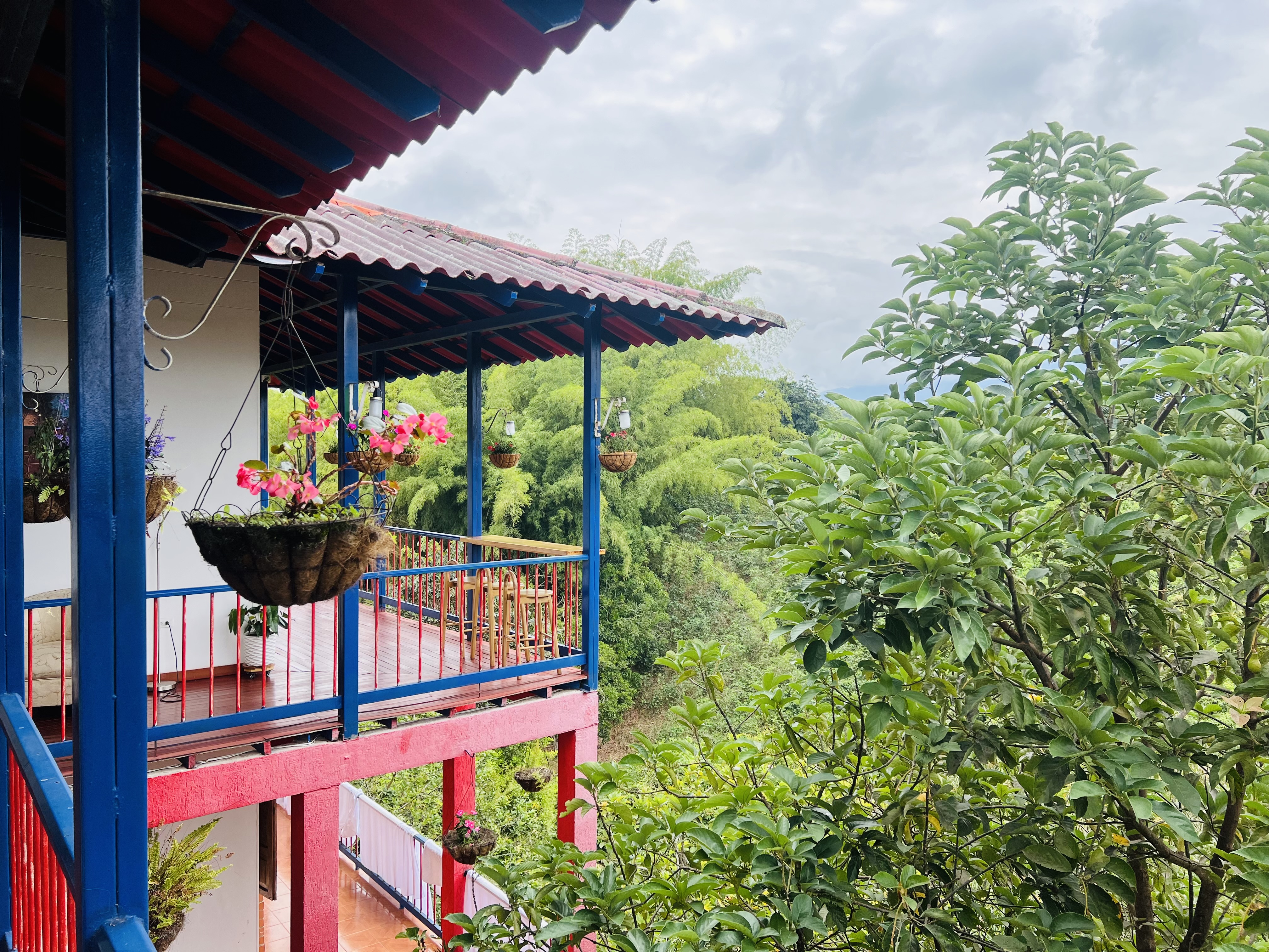 Finca Hotel Calle Jardin - Zonas comunes - 17