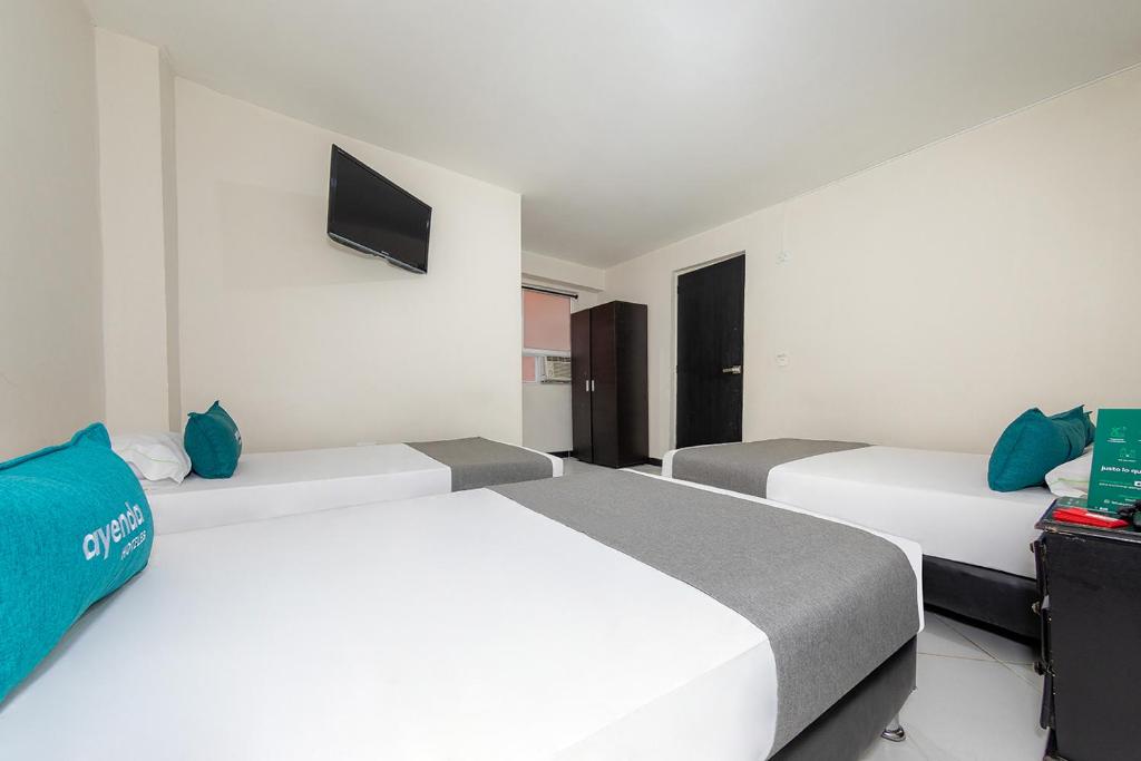 Ayenda Vittapark - Cuádruple Estandar - 4