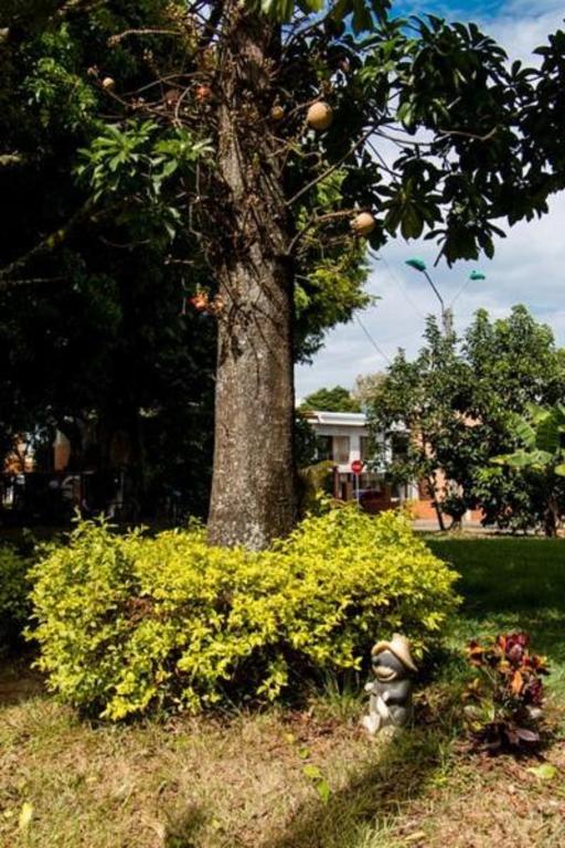 Ayenda 1422 Caney 32