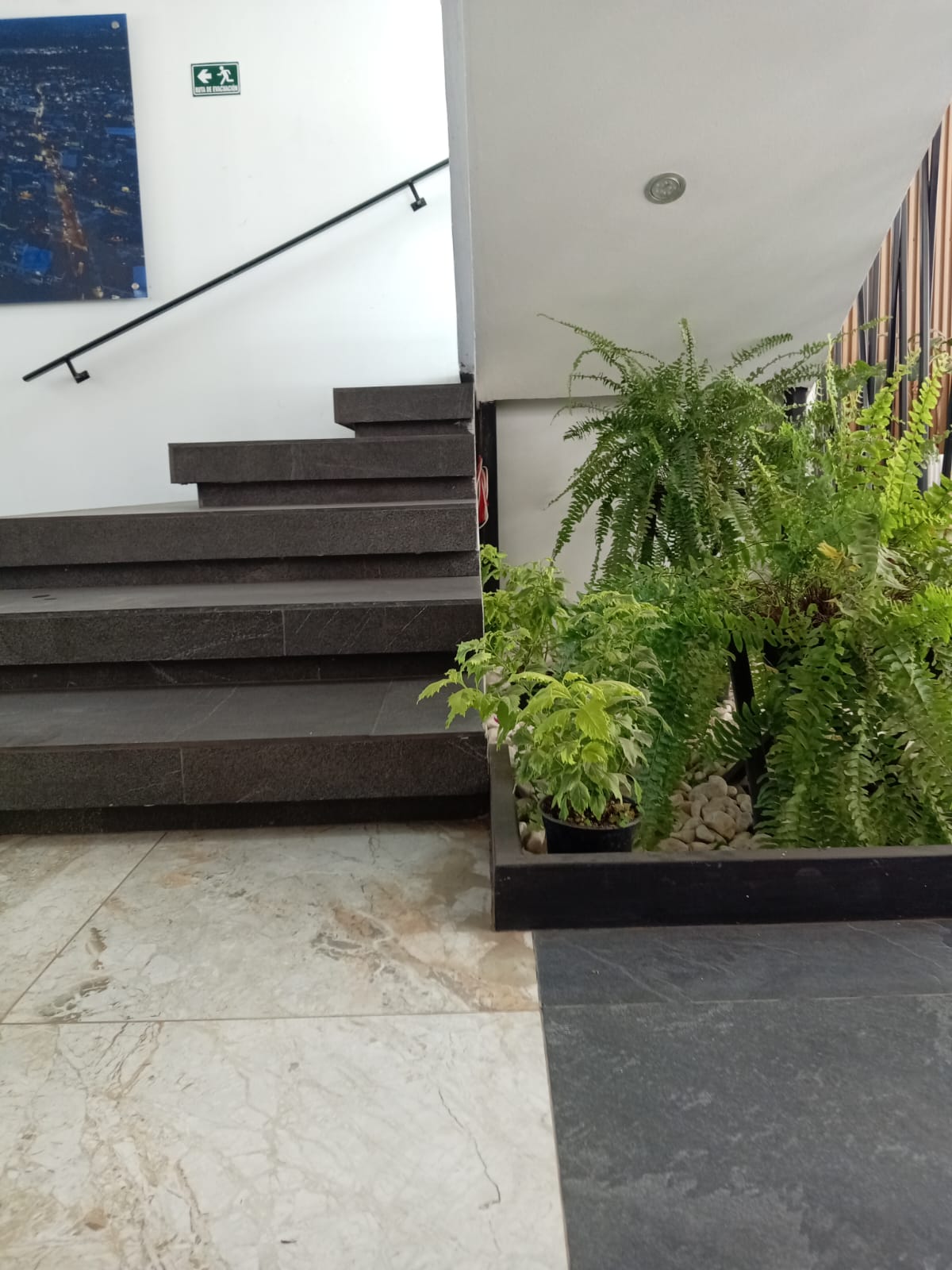 Hotel Yoel - MAMG960924855 - f65fca06a9 17