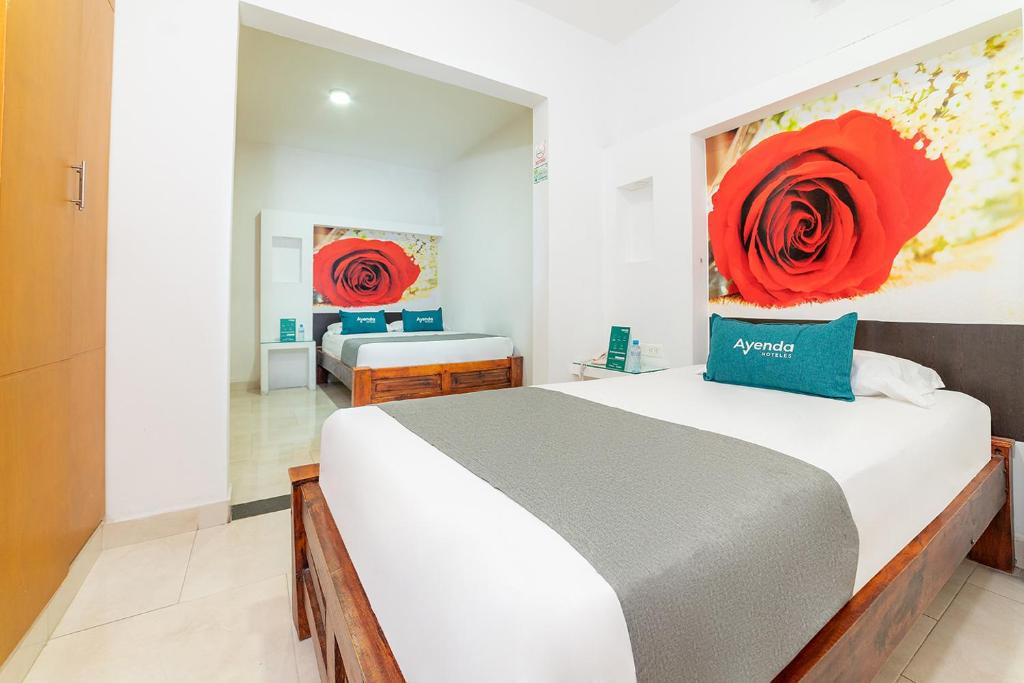 Ayenda Zhena - Triple - 3