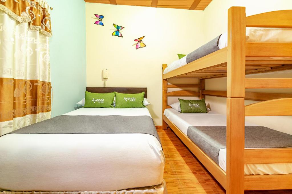 Ayenda Eclipse 1706 44