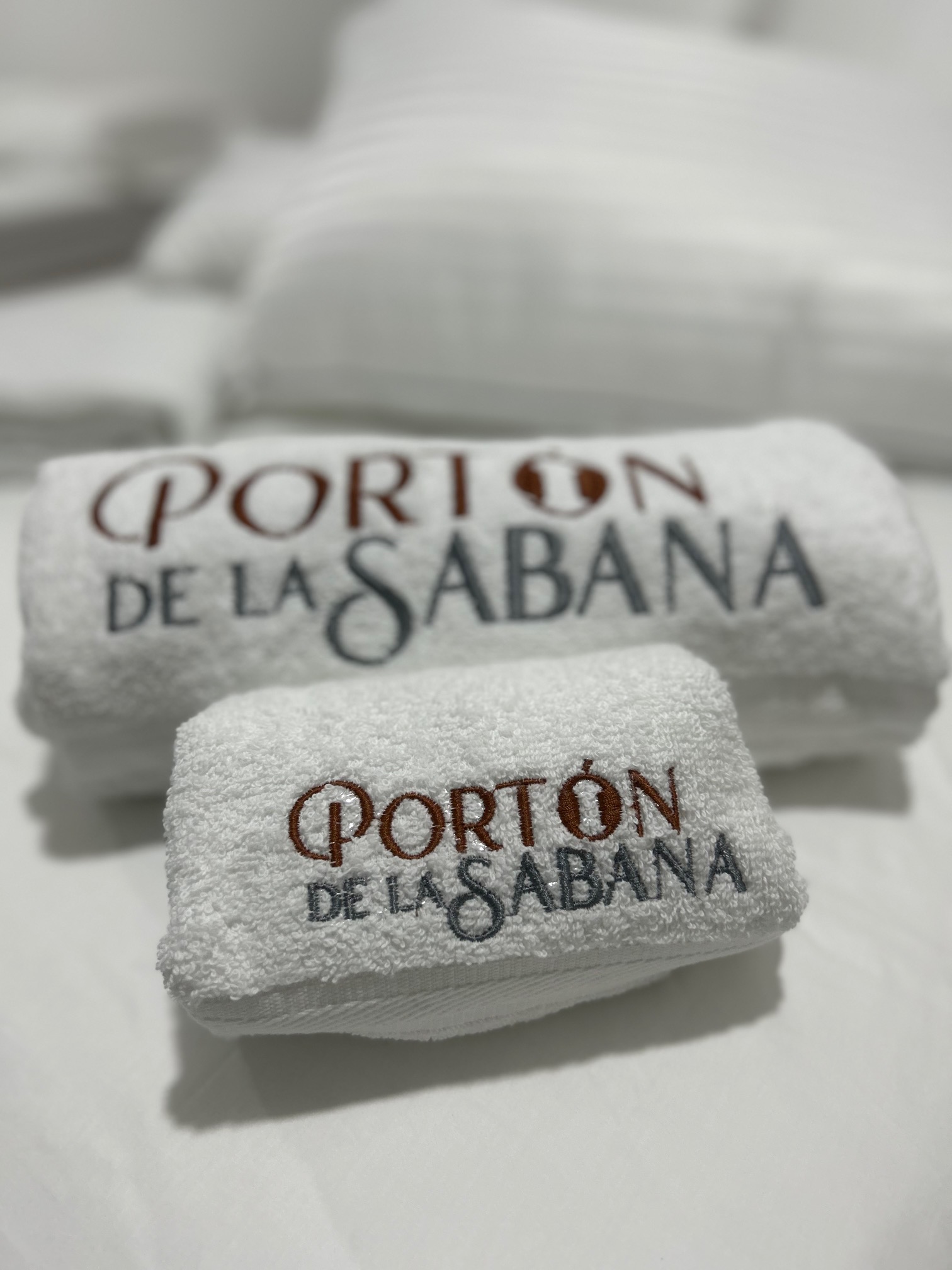 Hotel Porton de La Sabana 3