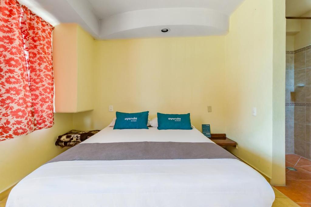 Ayenda Posada El Pedregal 5