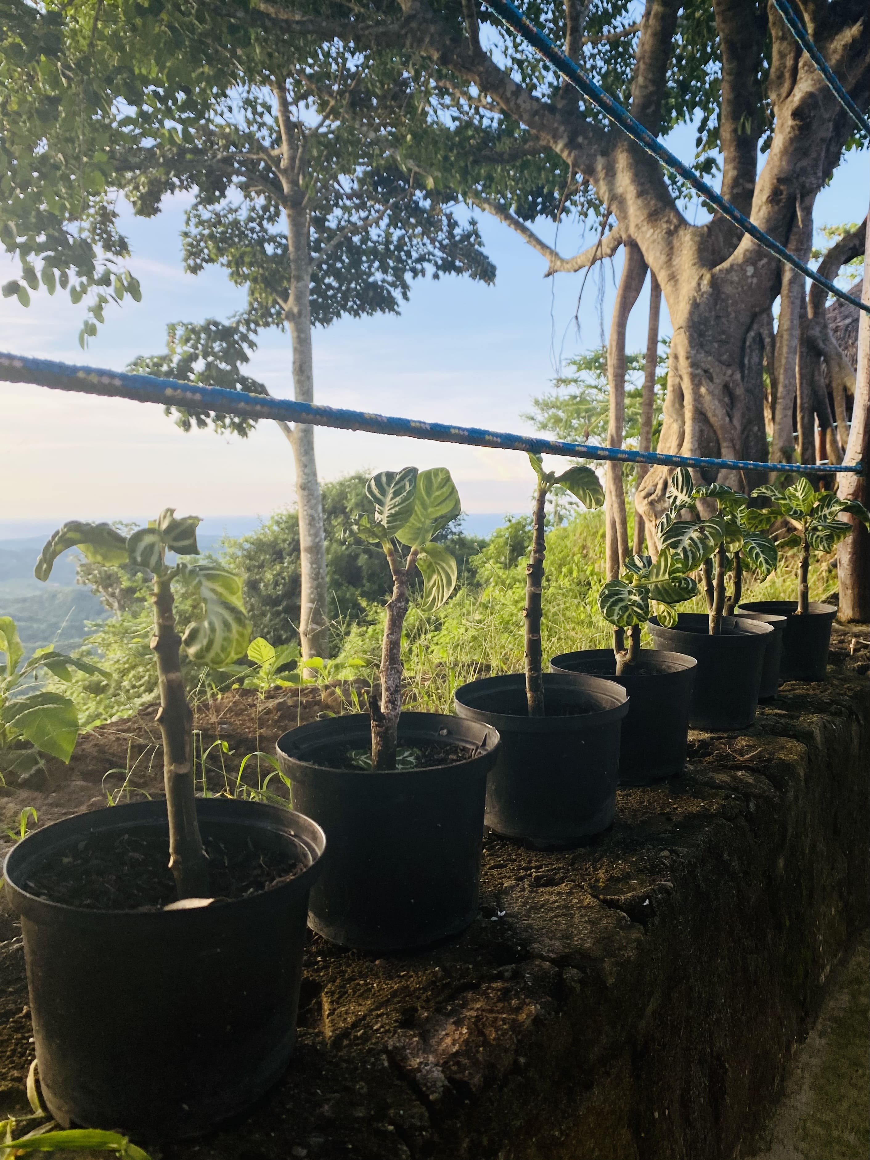 Ecohotel La Reserva 4