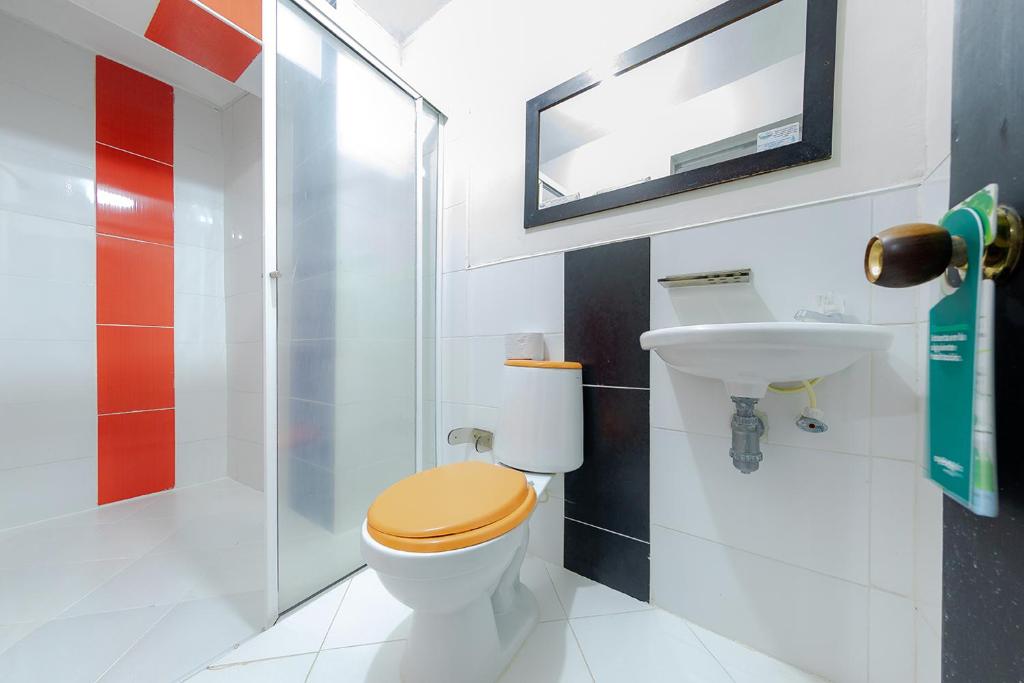 Ayenda Vittapark - Doble Estandar - 18