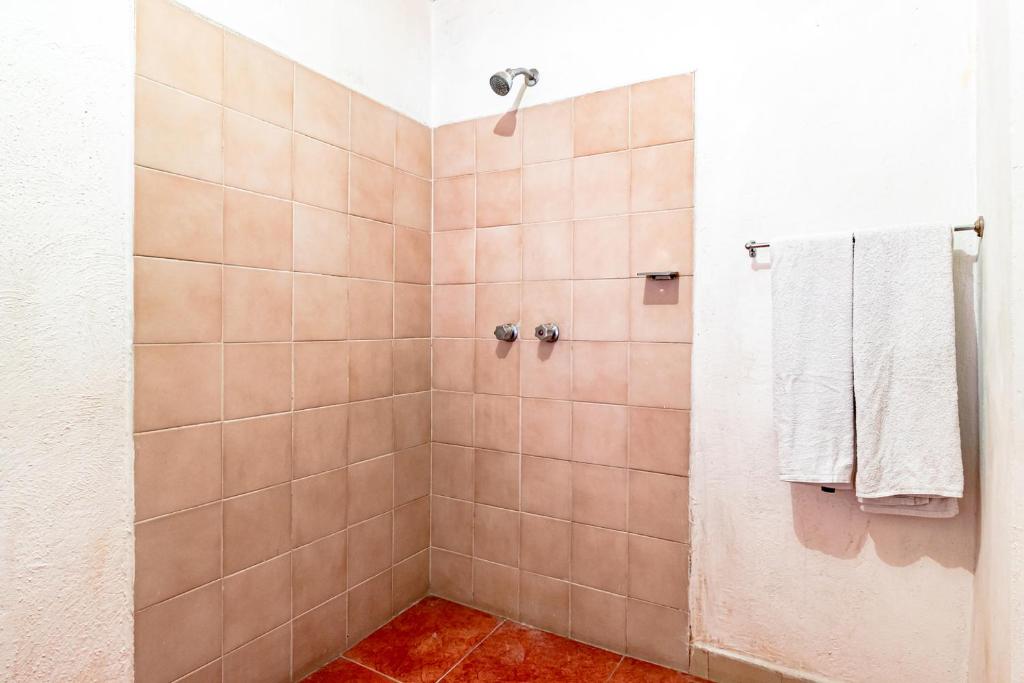 Ayenda Posada El Pedregal 14