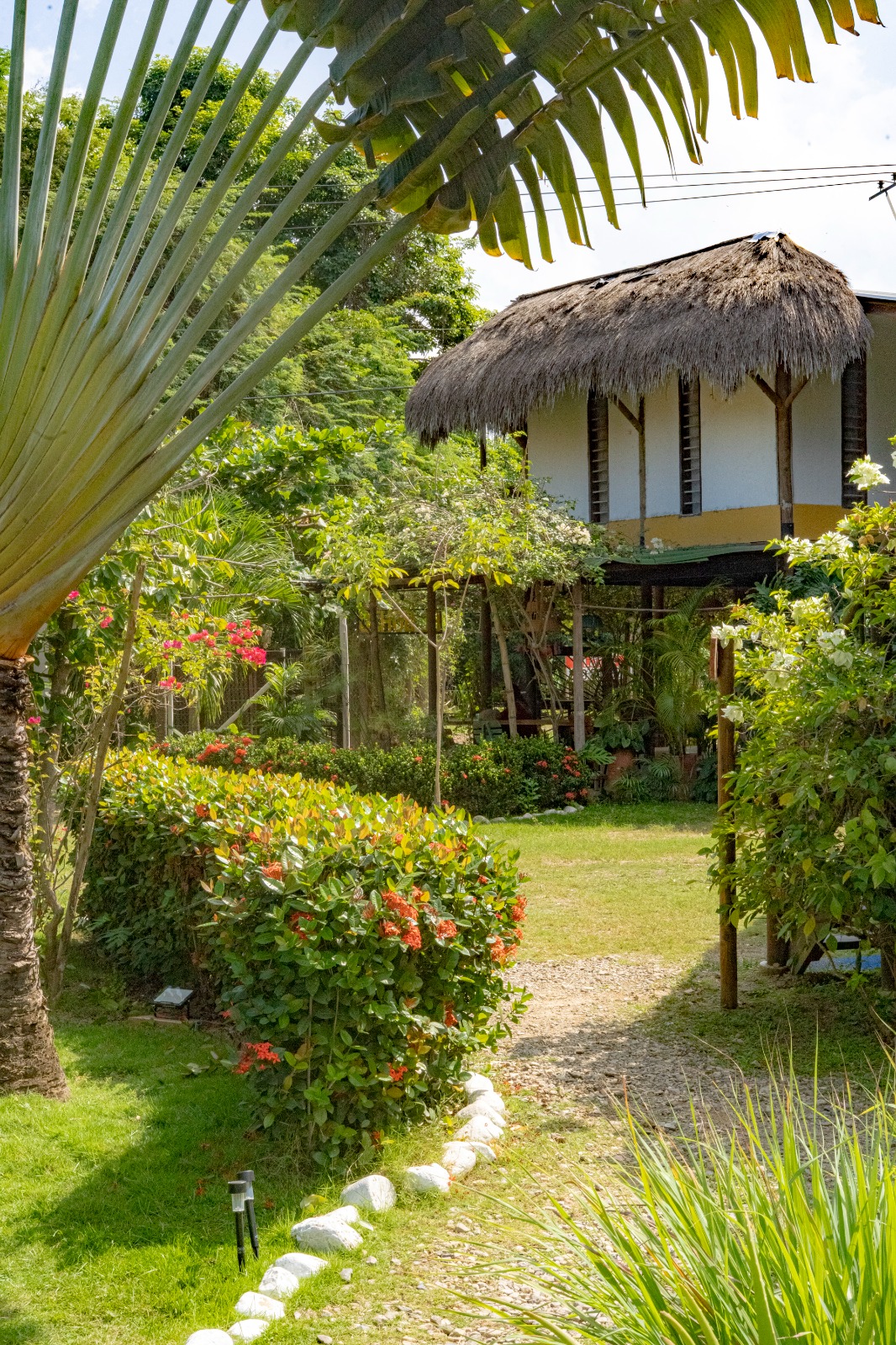 Hostal El Bohio - Zonas comunes - 48