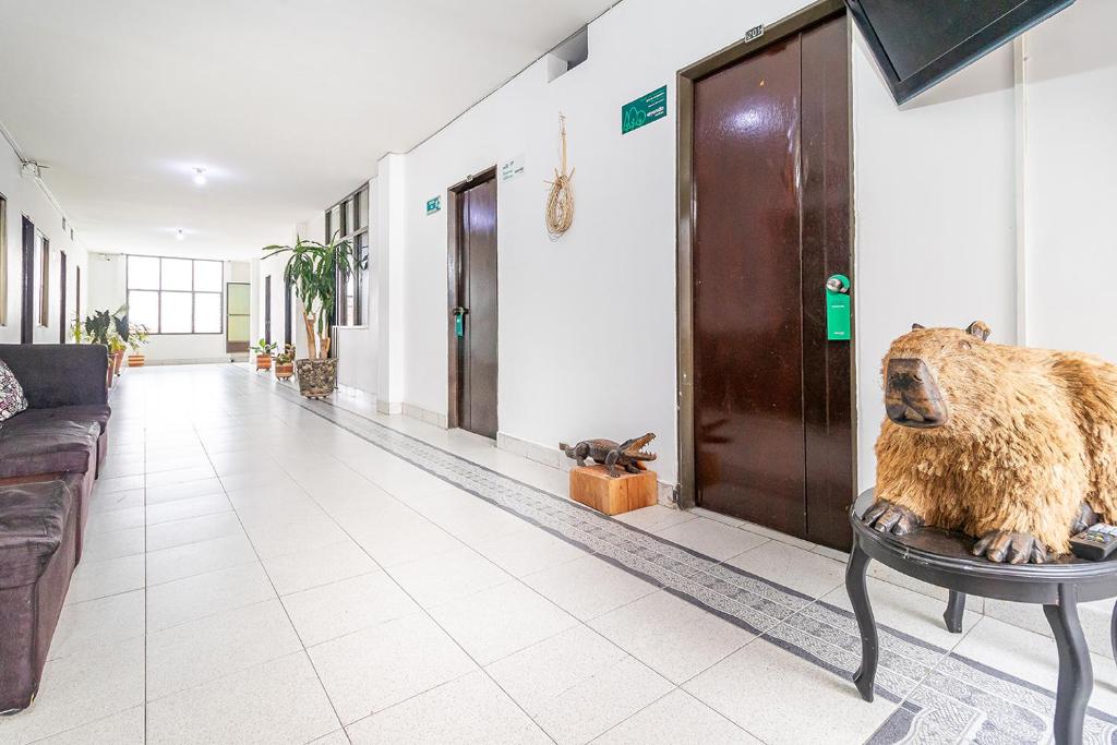 Ayenda Vanguard - Zonas comunes - 28