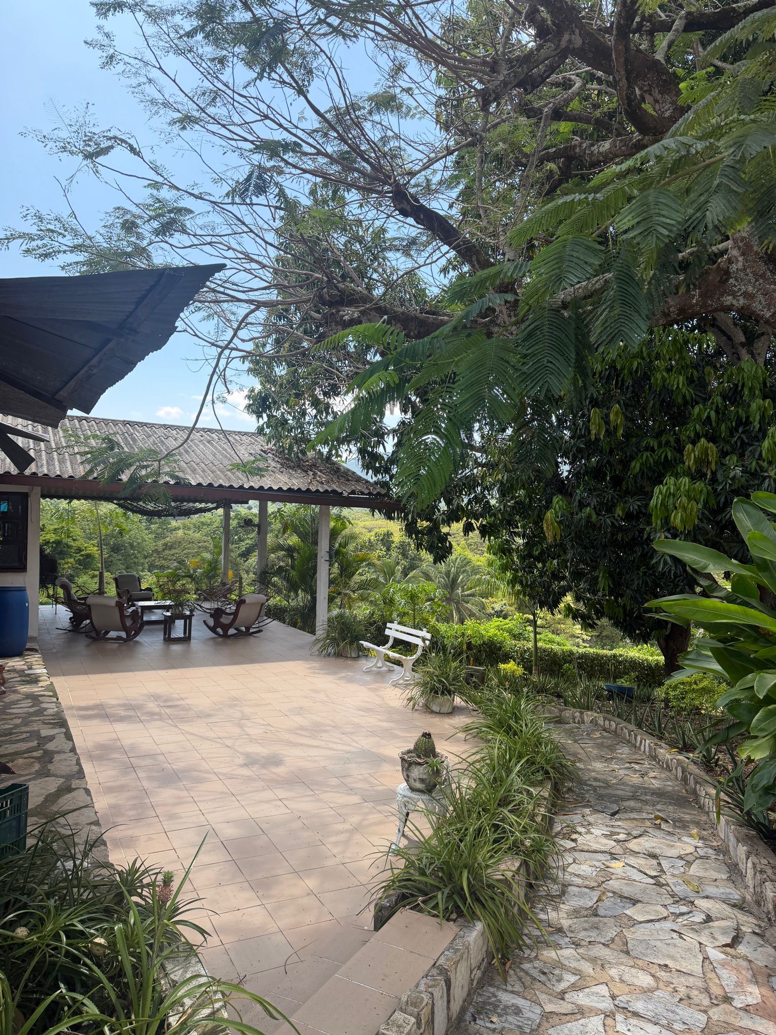Dorado Hotel Boutique  8