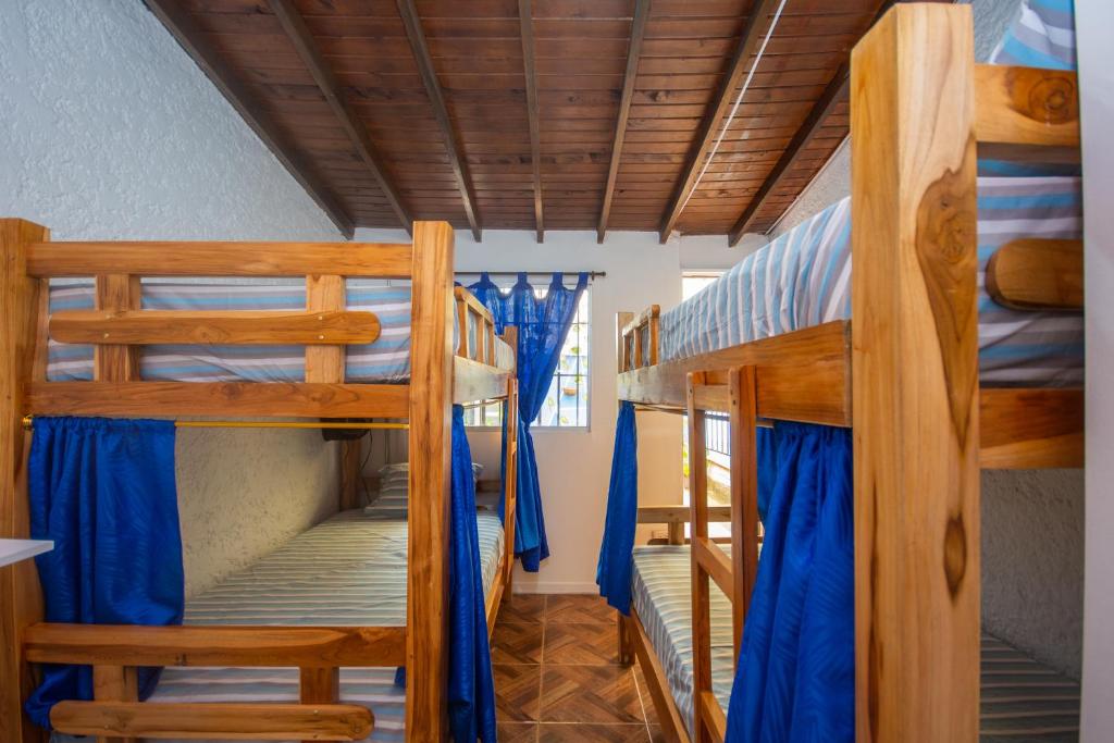 Blue Coast Hostal - Cama en Habitación 8 compartida para 4pax - Literas - 0