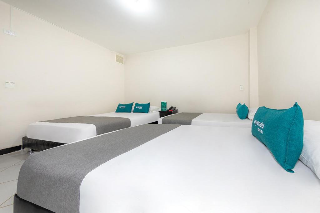 Ayenda Vittapark - Cuádruple Estandar - 12