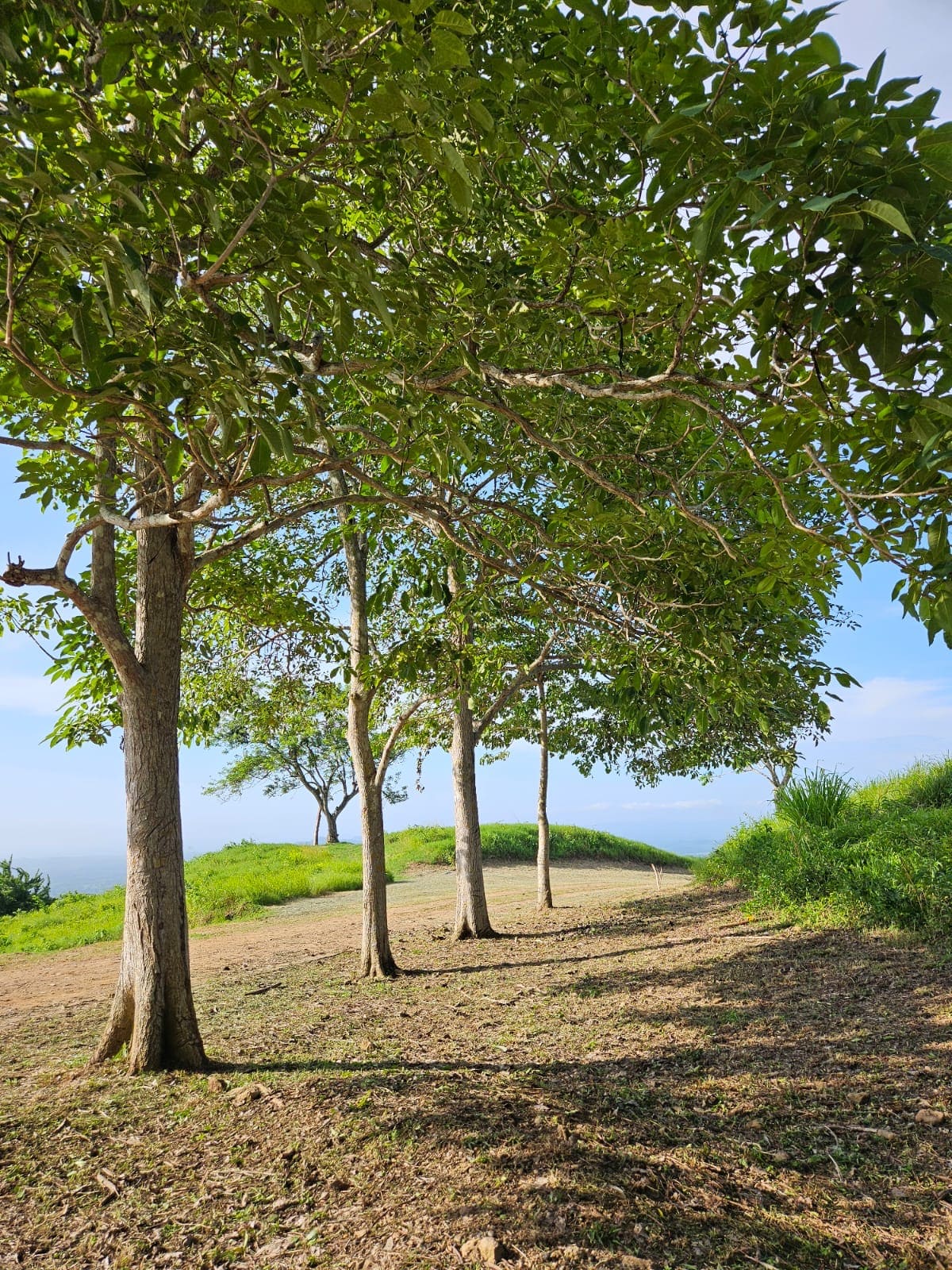 Ecohotel La Reserva 25