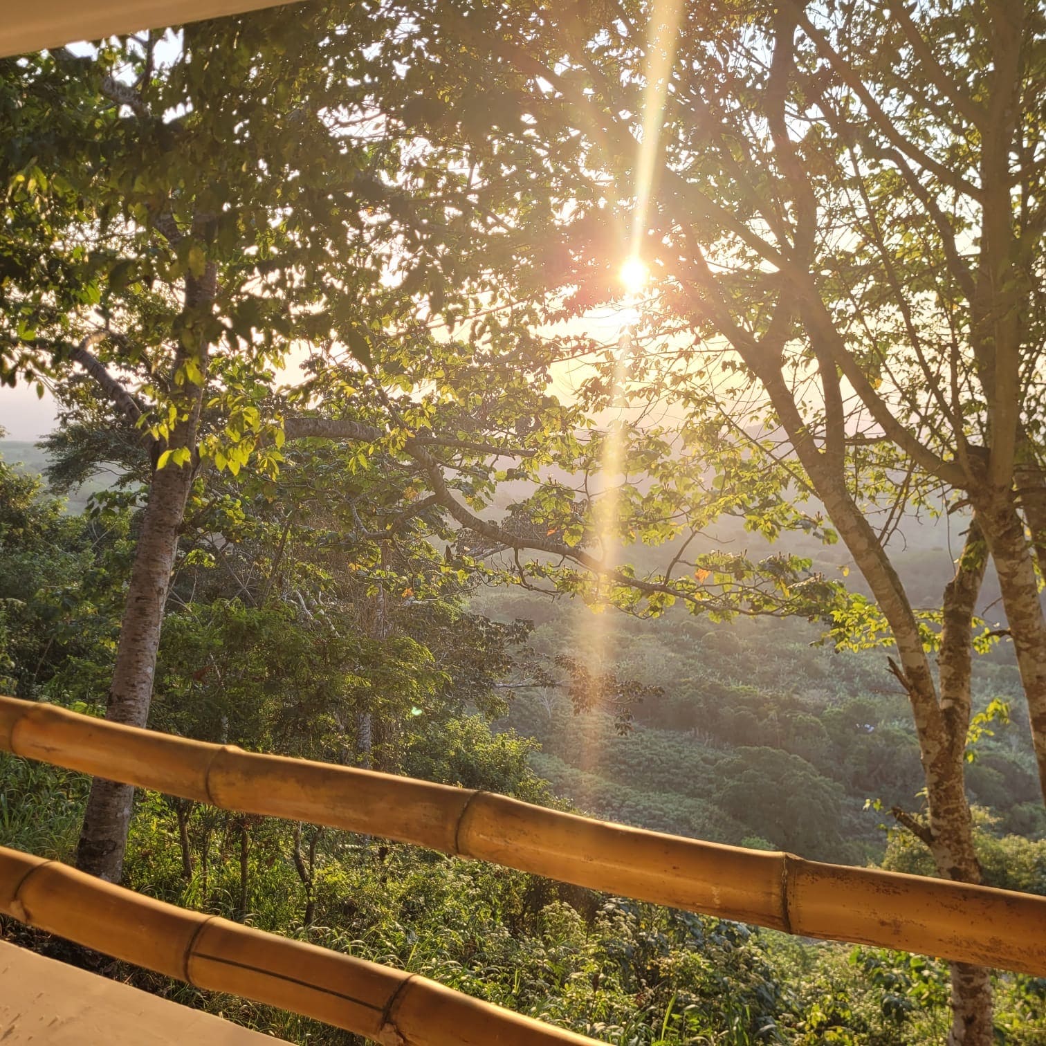 Ecohotel La Reserva 10