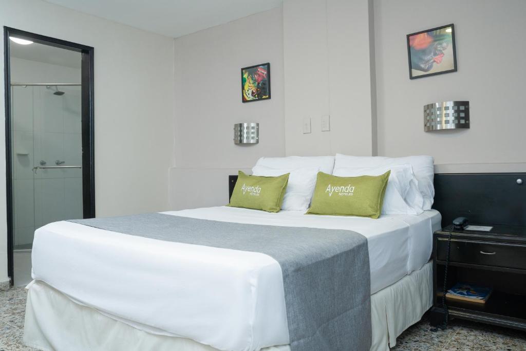 Ayenda 1313 Barahona 72 - Doble  - 4