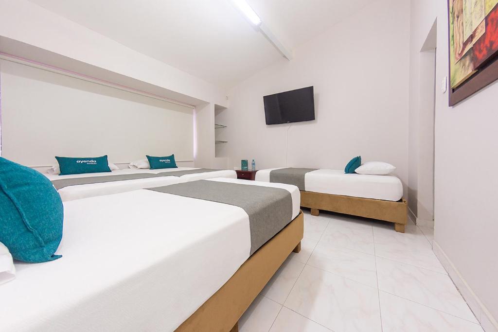 Ayenda Isla de Manga - Cuadruple Estandar - 3