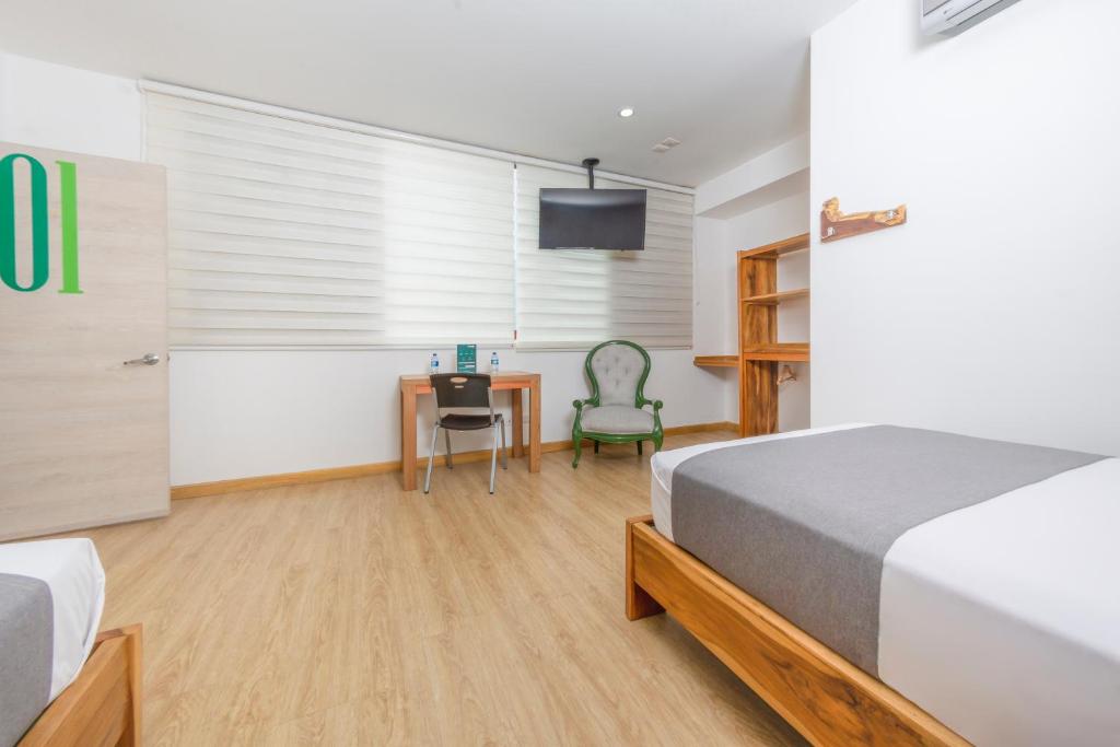 Ayenda 1901 Marckia - Doble - 13