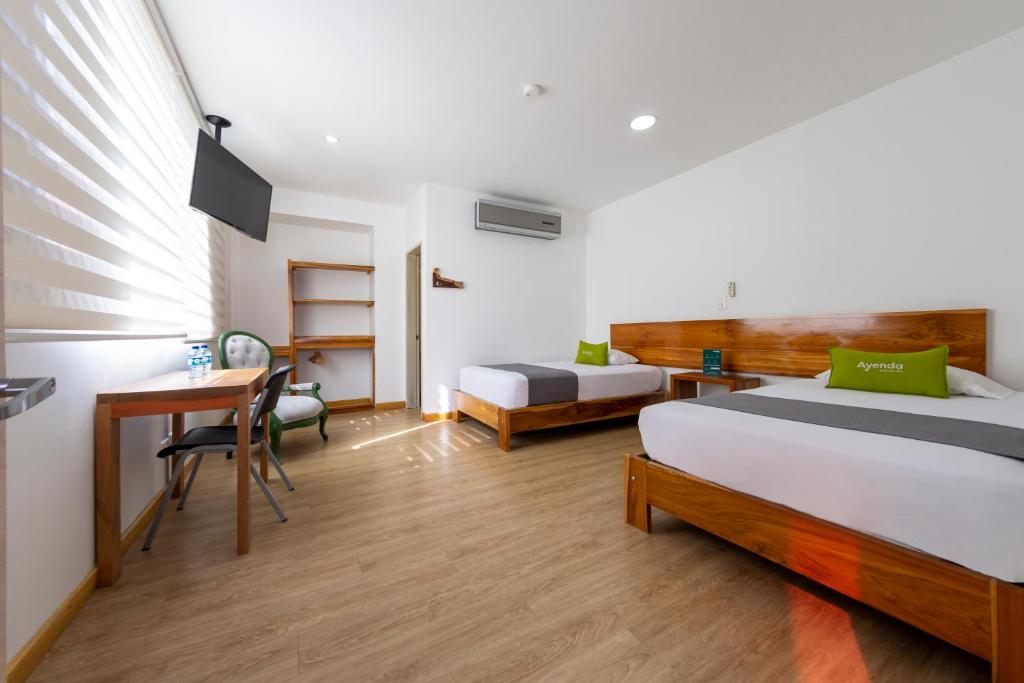 Ayenda 1901 Marckia - Doble - 7