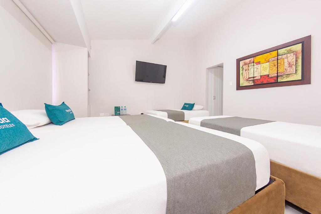 Ayenda Isla de Manga - Cuadruple Estandar - 2