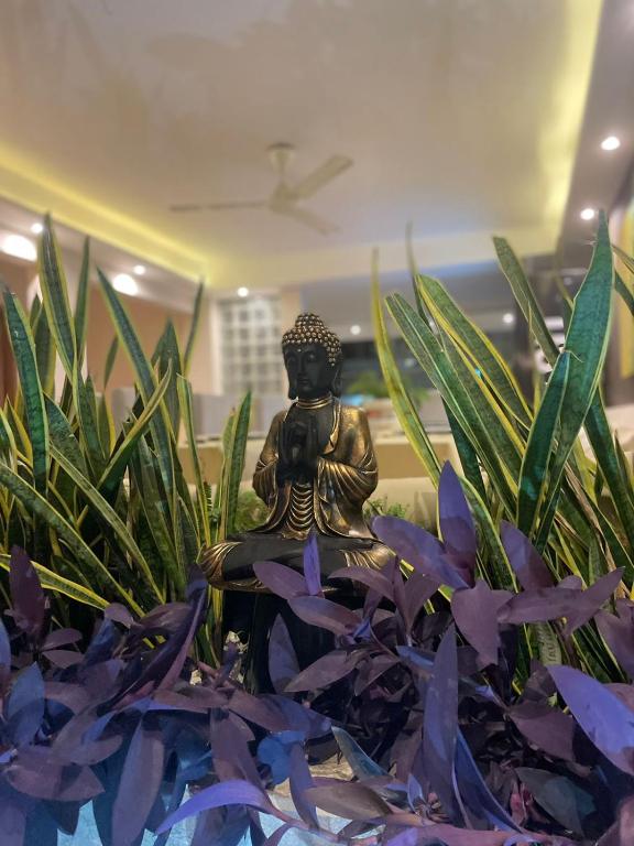 Casa Roman Hotel Boutique - Zonas comunes - 41