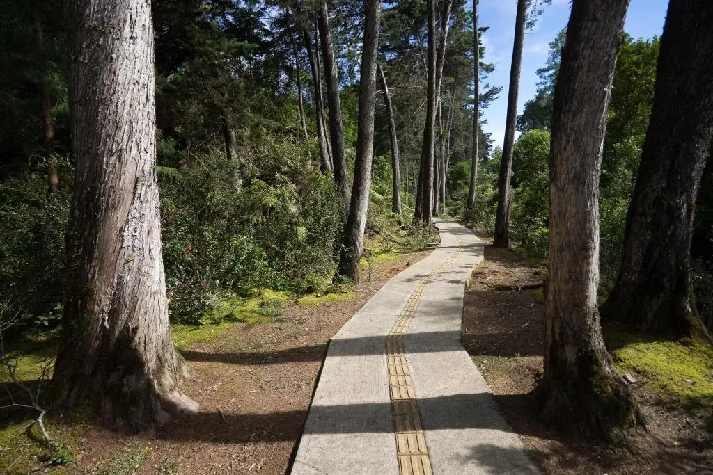 Ayenda Coliving la 78A 30